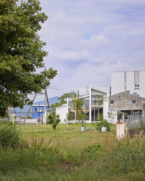 「野原と壁」画像