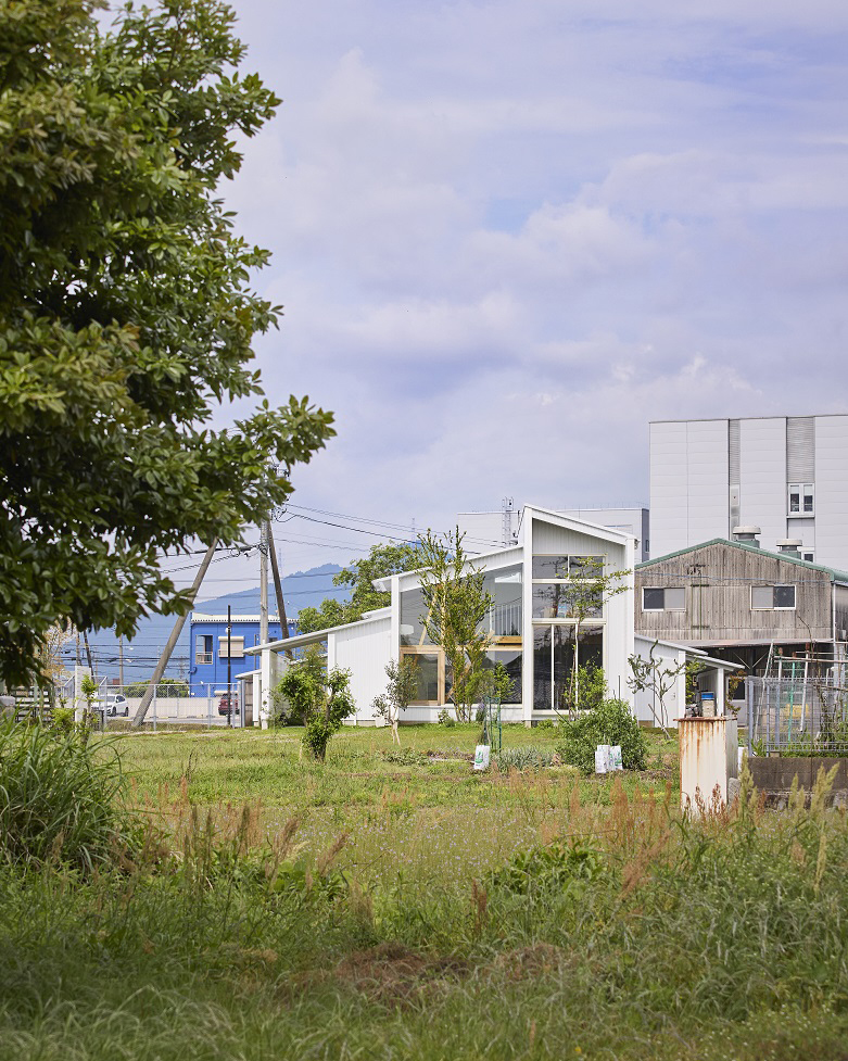 「野原と壁」画像